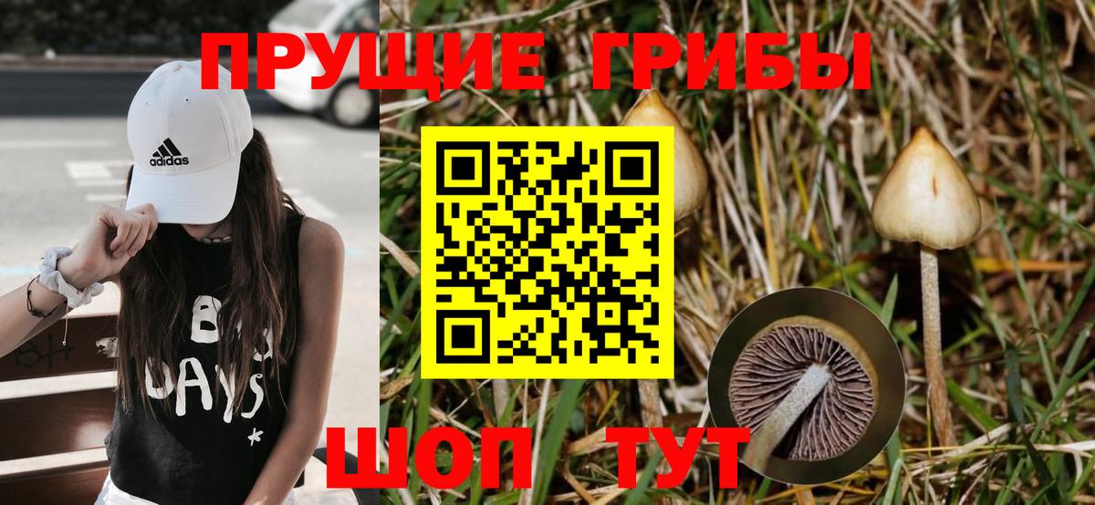 Галлюциногенные грибы Psilocybine cubensis  Вход с VPN  Галлюциногенные грибы мухоморы  Зеленодольск 