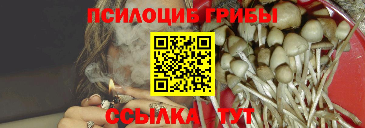 Галлюциногенные грибы ЛСД Зеленодольск